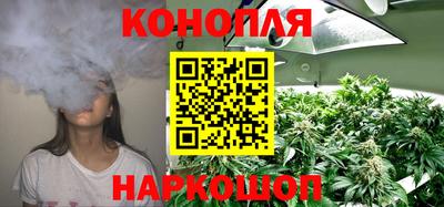 шишки Гагарин