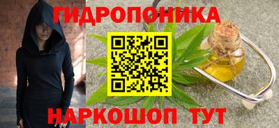 шишки Гагарин