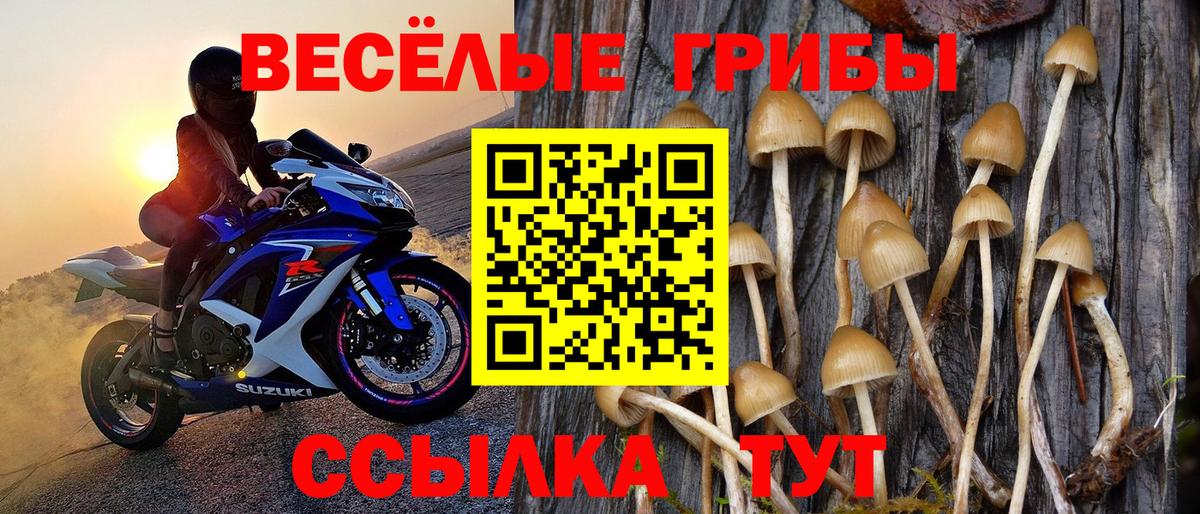 Псилоцибиновые грибы ЛСД  Вход с VPN  где купить наркоту  Комсомольск-на-Амуре 